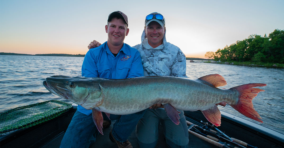 LOTW - Lake of the Woods Trophy Musky Guide